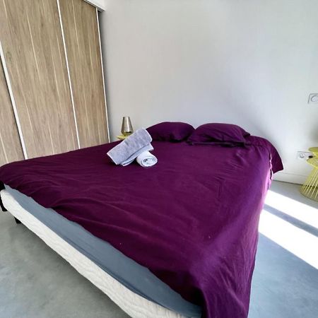 Bel Ecrin T2 35M2 Gare/Centre Apartment Grenoble Luaran gambar